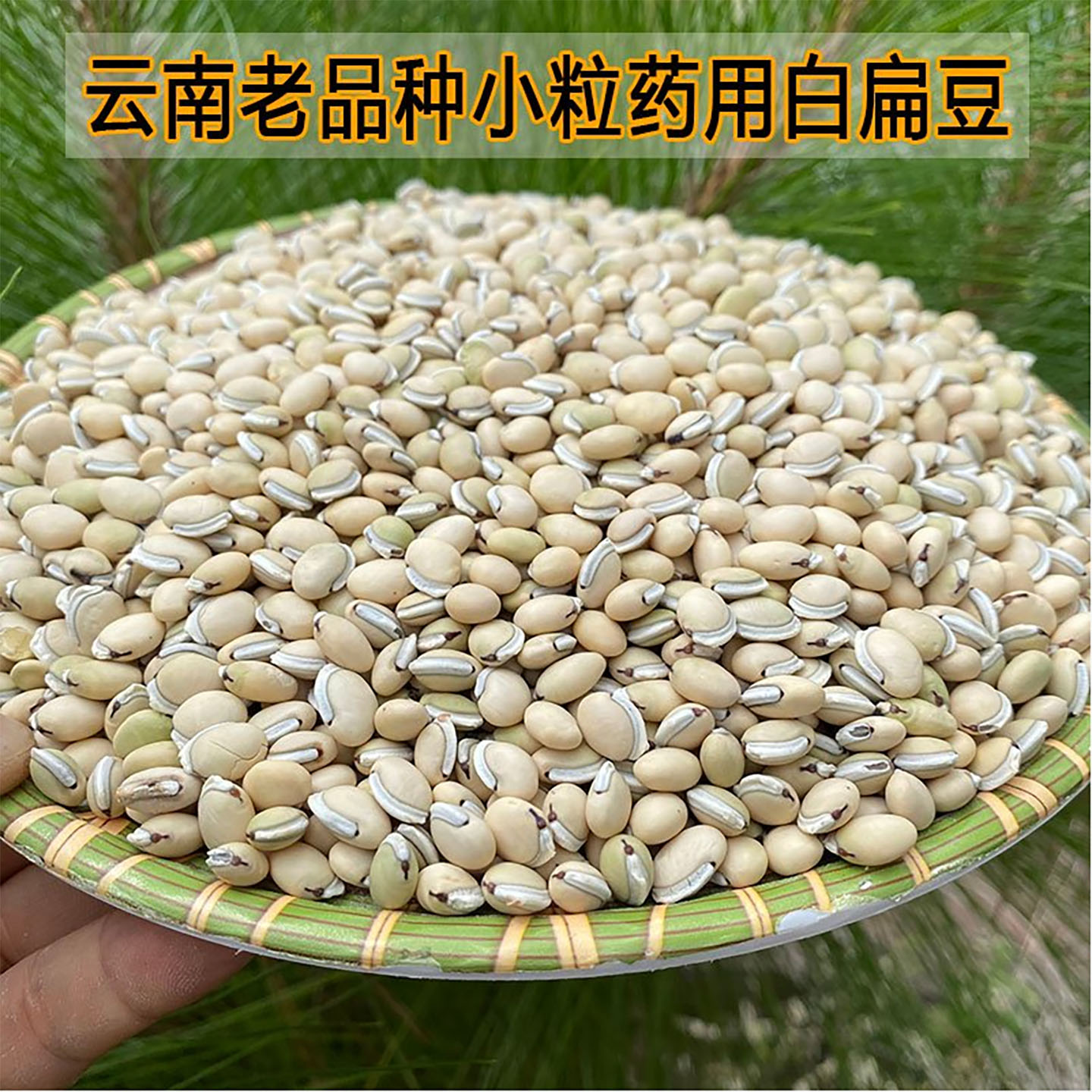 云南白扁豆药用祛湿老品种2斤