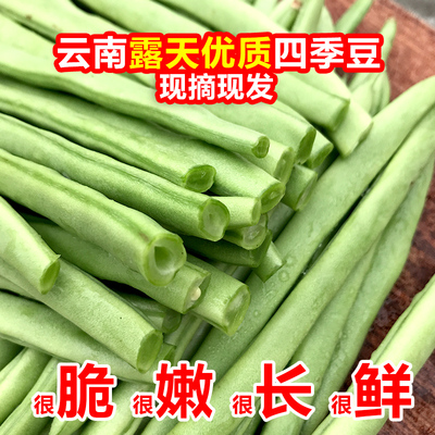 云南新鲜现摘四季豆无筋豆角长豆角当季时令蔬菜5斤整箱现摘现发