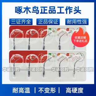 牙科啄木鸟洁牙机刀头系列原装正品洁牙机刀头工作尖 机头 工作头