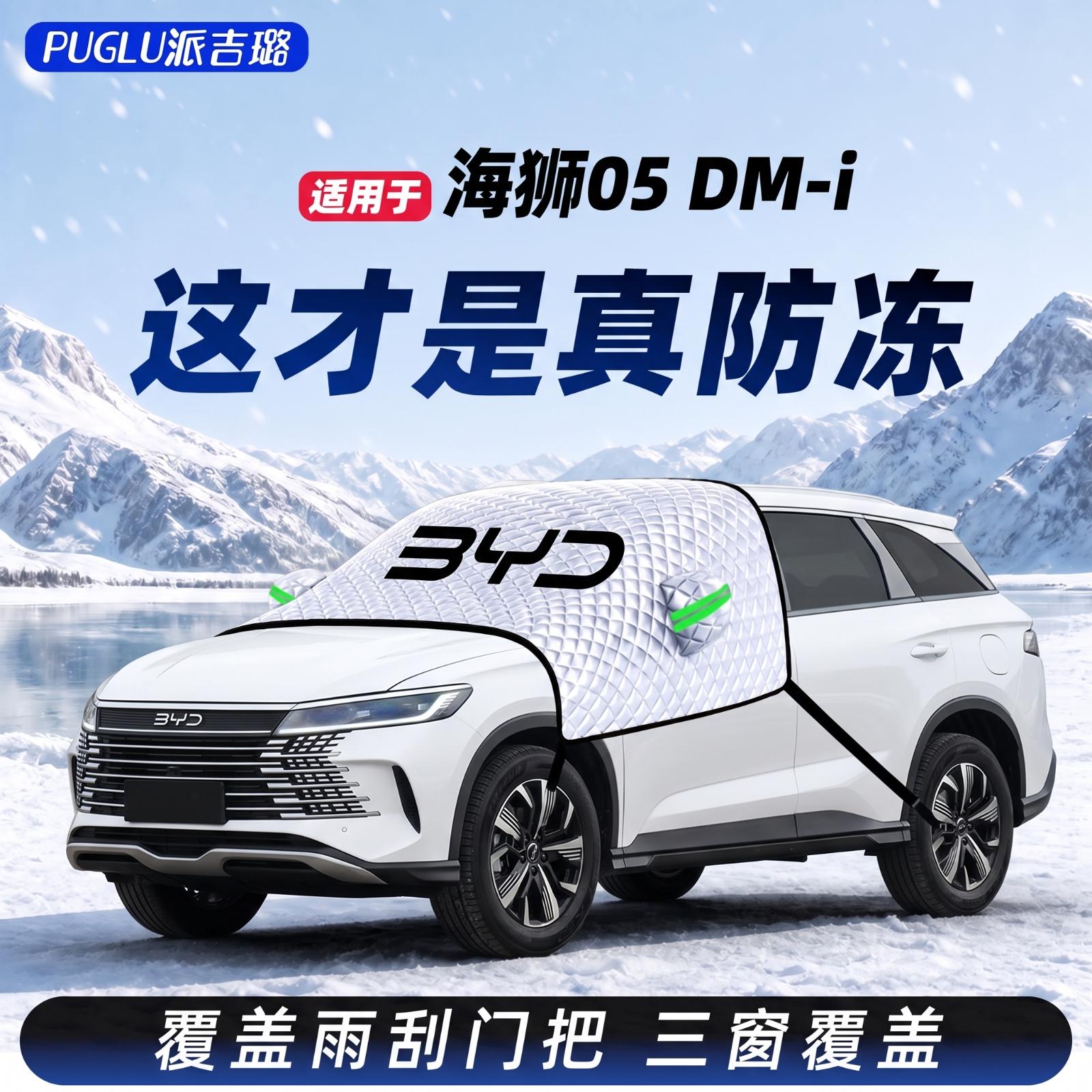 【海狮05DMI专用】汽车遮雪挡