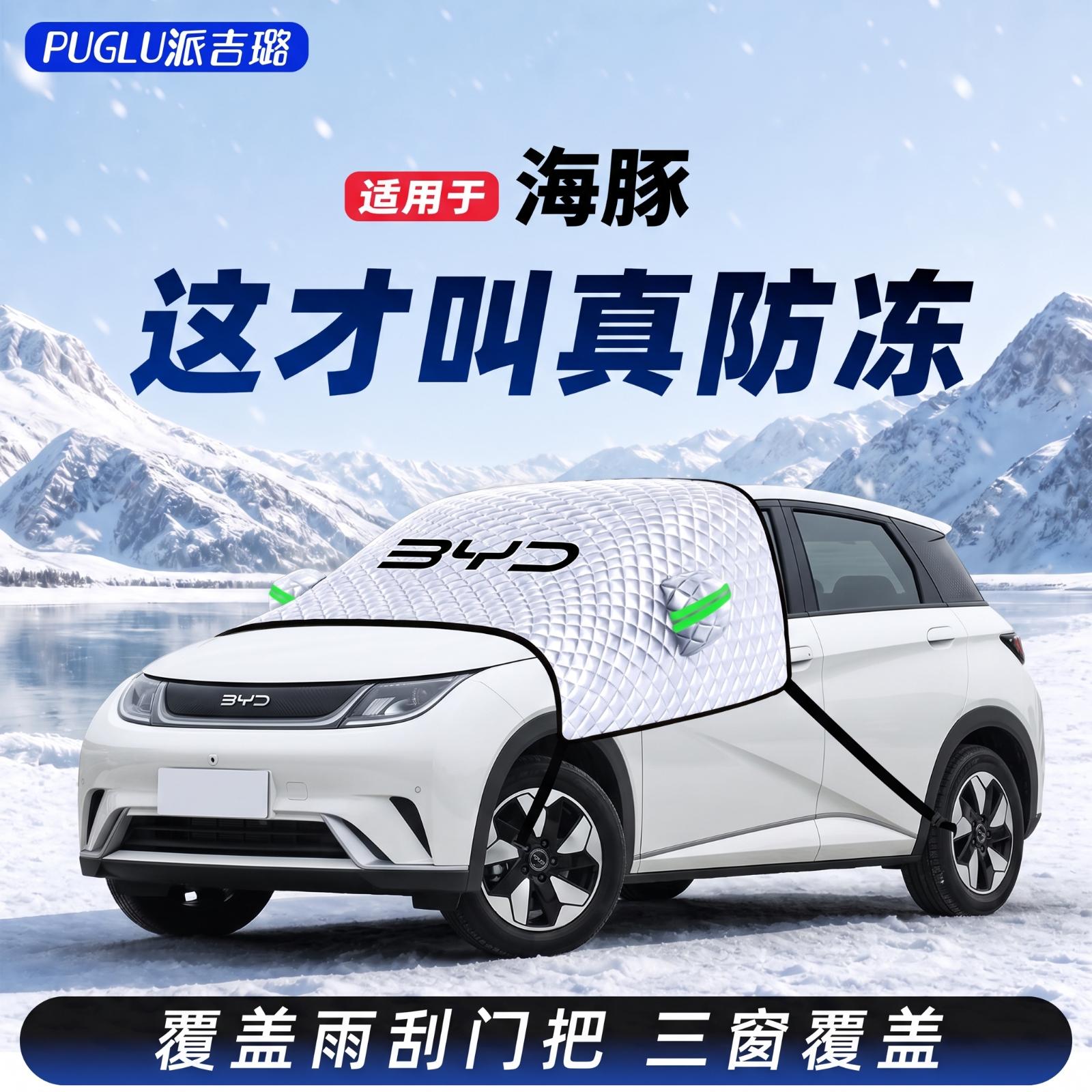 【海鸥专用】汽车遮雪挡图片