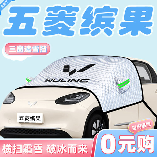 【适用于五菱缤果】汽车遮雪挡