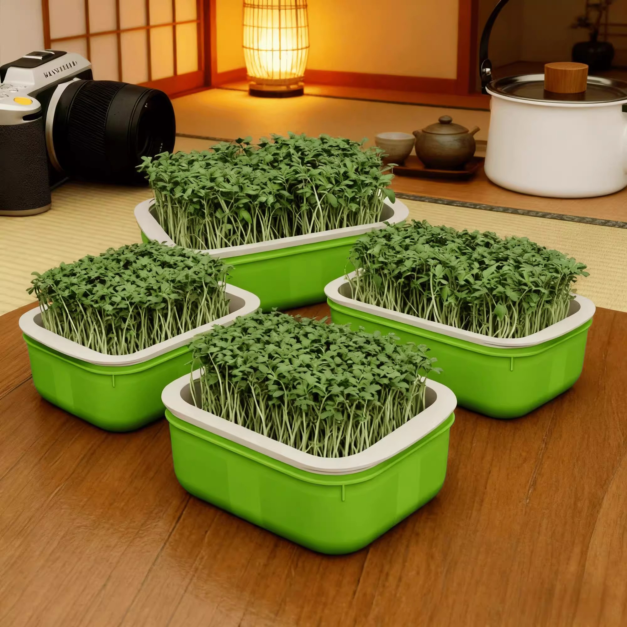 新款加大容量豆芽机家用种植速发豆芽神器食品种植豆芽盆种菜