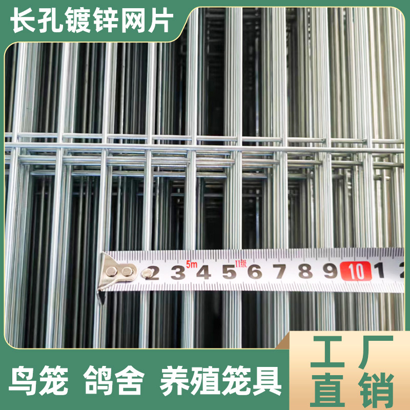 镀锌网片长孔加密鸽舍网格片铁丝网鸽棚养殖鸽子围栏隔离网钢丝网