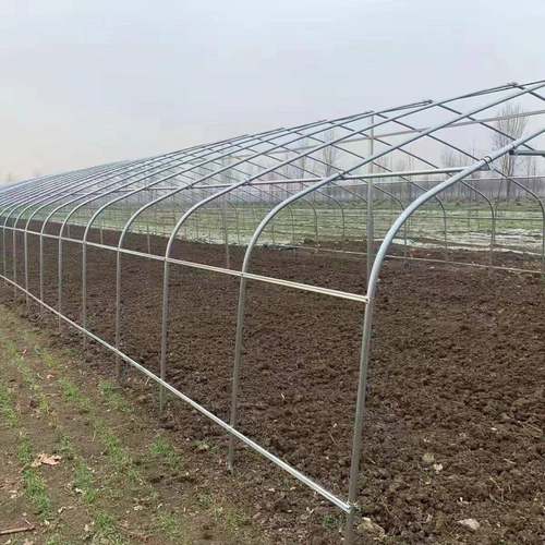 种菜鸭鹅蔬菜大棚养鸡养猪温室大棚大棚骨架大棚大棚大棚配件