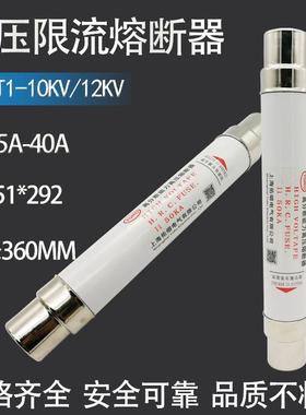 高压限流熔断器SFLDJ-12KVXRNT1-10KV50A63A71A80A陶瓷保险管