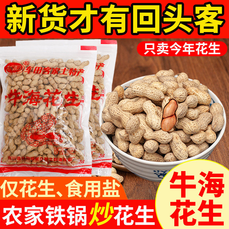 牛利海花生米河源客家土特产龙川车田盐焗带壳咸香酥脆炒货下酒菜