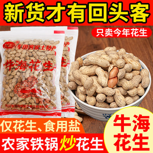 牛利海花生米河源客家土特产龙川车田盐焗带壳咸香酥脆炒货下酒菜