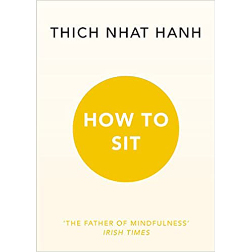 现货 英文原版书 How to Sit  by Thich Nhat Hanh 如何坐原版进口图书