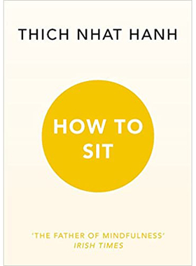 现货 英文原版书 How to Sit  by Thich Nhat Hanh 如何坐原版进口图书