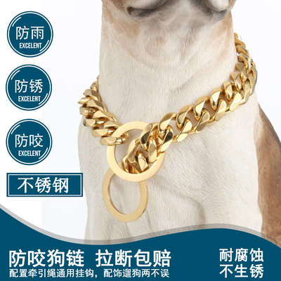 12MM宽金色不锈钢古巴链遏制链狗项圈O环P链遛狗狗链大中小狗适用