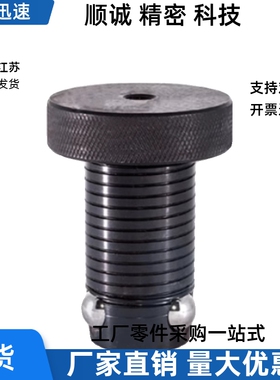 特别用途柱塞ZAX40-D13 D16 D20 D25 D30 D35 D50-13 20 25 40 50