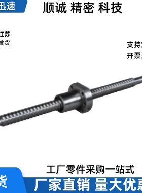 滚珠丝杠LCS29-20-5 10-L200 L300 L500 L1000 L1500-F20 F211-P8