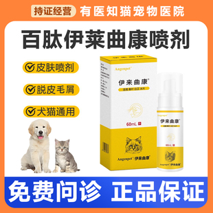 百肽伊来曲康肤伊曲康喷剂马拉色菌真菌宠物狗狗皮肤病外用药