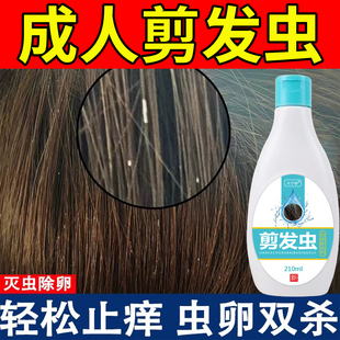 去剪发虫洗发水治成人小女孩除头螨卷发虫白点的药祛屑止痒洗发露