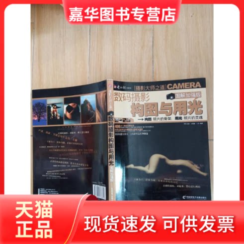 【正版现货】 数码摄影构图与用光图解加强版 罗雪 墨叶 王鹿童 小灰 著 电脑报电子音像社出版社