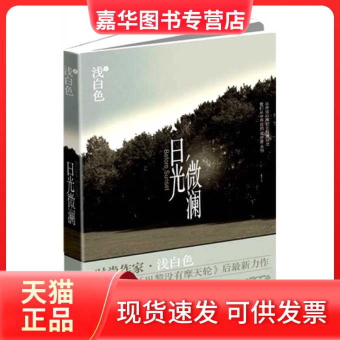【正版现货】 日光微澜 浅白色 大众文艺出版社