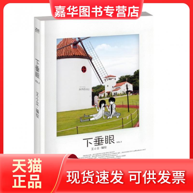 【正版现货】 下垂眼(VL3) 王小立 长江文艺出版社