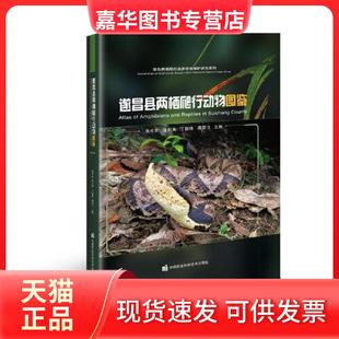 【正版现货】 遂昌县两栖爬行动物图鉴 余水生；张川英；丁国骅；龚笑飞 中国农业科学技术出版社有限公司