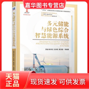 【正版现货】 多元储能与绿色综合智慧能源系统 贺徙 耿学文 王承民 黄淳驿 等 机械工业出版社