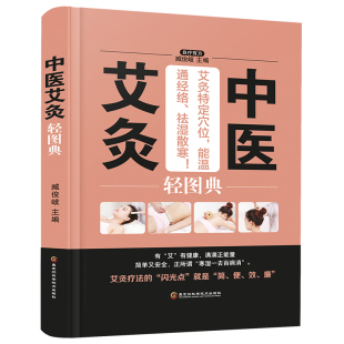 养生 中医艾灸轻图典