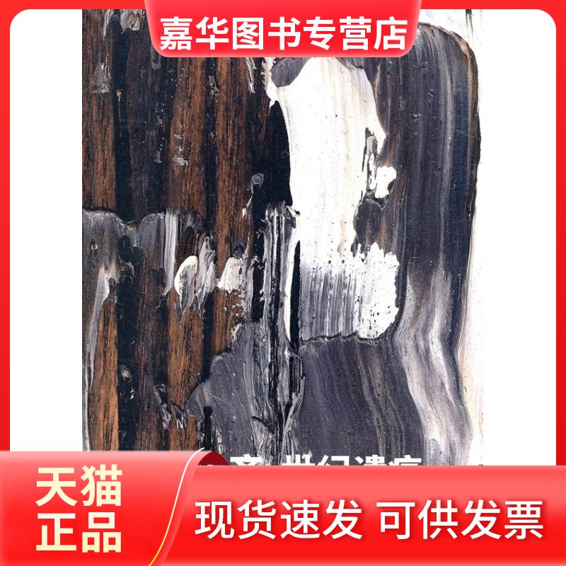 【正版现货】 应天齐 世纪遗痕 王林 主编 湖南美术出版社
