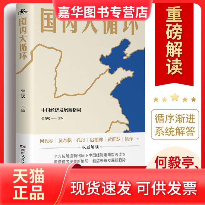 【正版现货】 国内大循环 何毅亭 湖南人民出版社