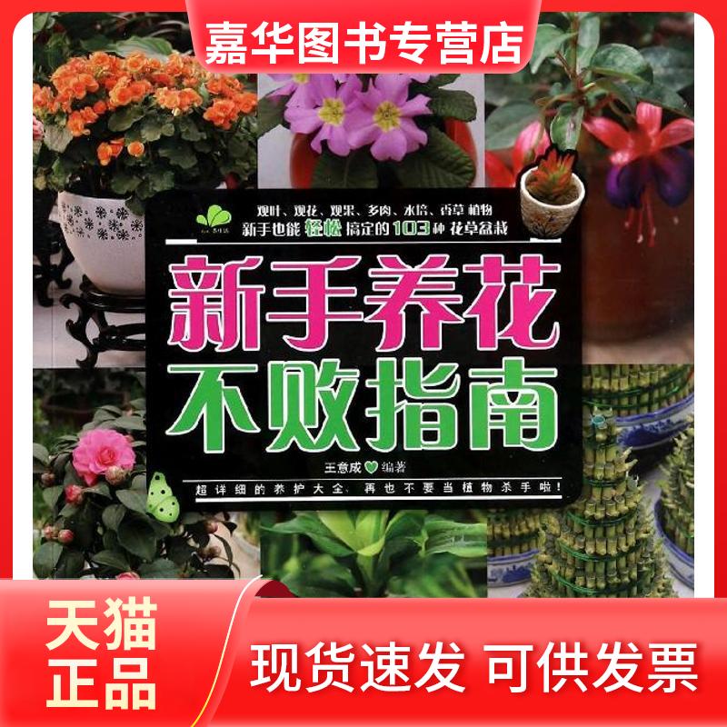 【正版现货】 新手养花不败指南 王意成 中国水利水电出版社