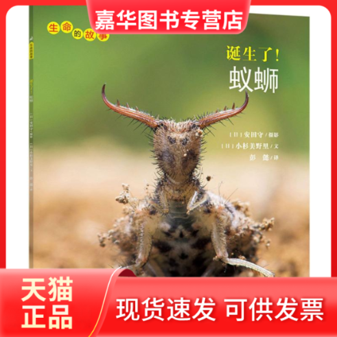 【正版现货】 诞生了!蚁蛳 (日)安田守 摄影;(日)小杉美野里 文;彭懿 译 安徽教育出版社