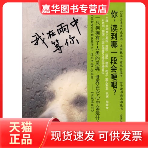 【正版现货】 我在雨中等你 (美)斯坦 林说俐 南海出版公司