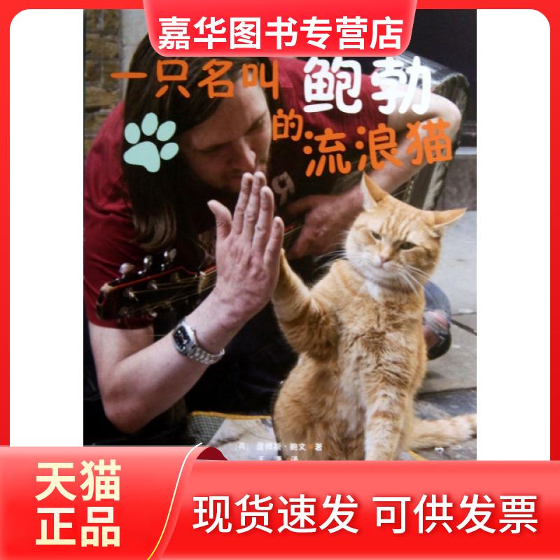 【正版现货】 一只名叫鲍勃的流浪猫 (英)詹姆斯·鲍文|译者:王潇 工商联