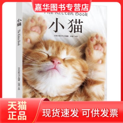 【正版现货】 小猫 日本日贩IPS 编 何凝一 译 贵州科技出版社