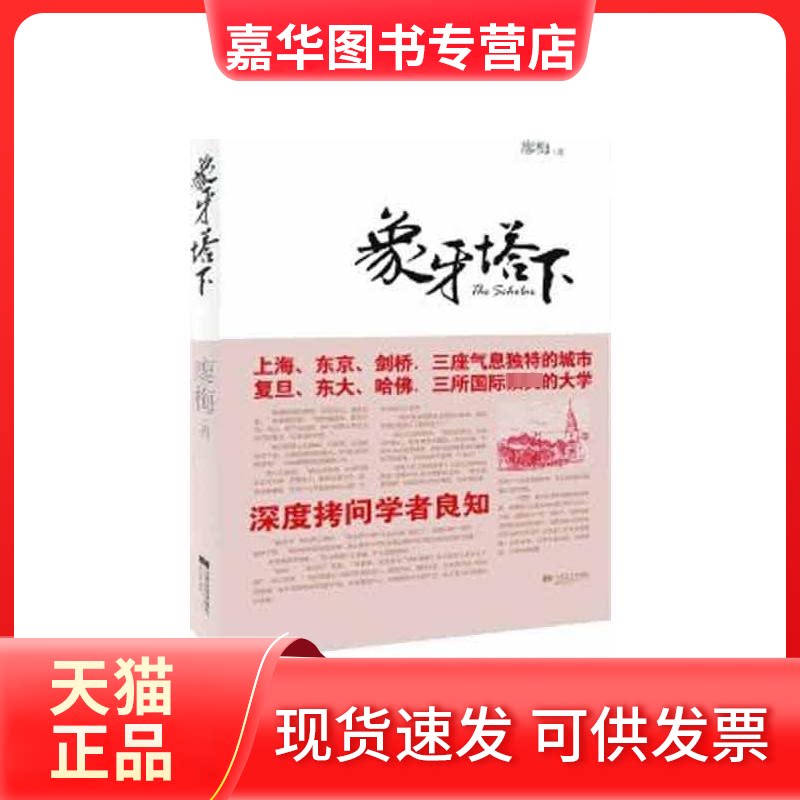 【正版现货】 象牙塔下 廖梅 著作 江苏文艺出版社