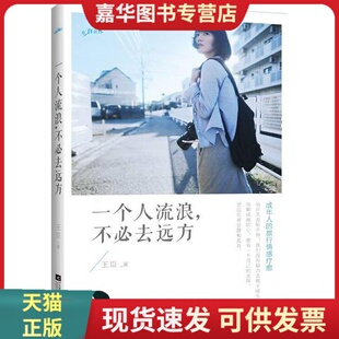 正版 不必去远方9787539961859王臣江苏文艺出版 社 现货一个人流浪