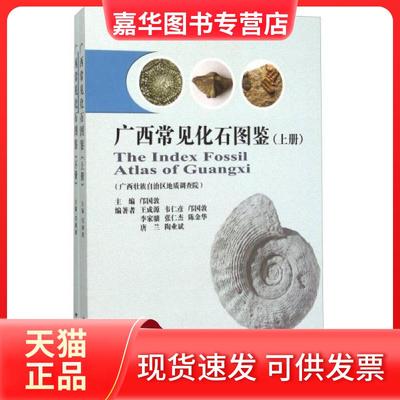 【正版现货】 广西常见化石图鉴上册 王成源、韦仁彦、张仁杰、陈金华、唐兰  著；邝国敦  编 中国地质大学出版社