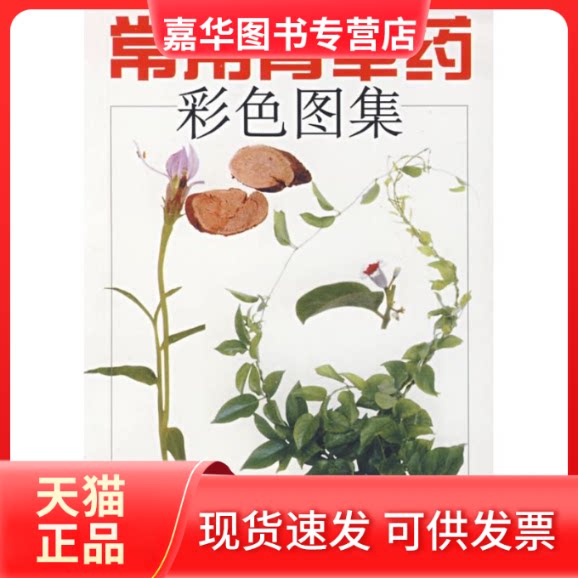 【正版现货】 常用青草药彩色图集  赵秀贞 主编 著作 福建科学技术出版社
