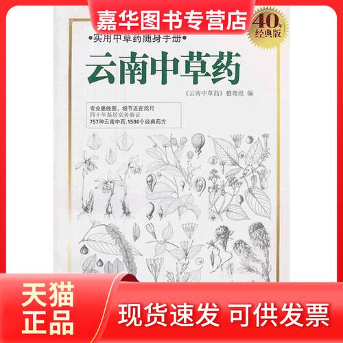 【正版现货】 云南草（2013重印） 云南草整理组　编 云南人民出版社