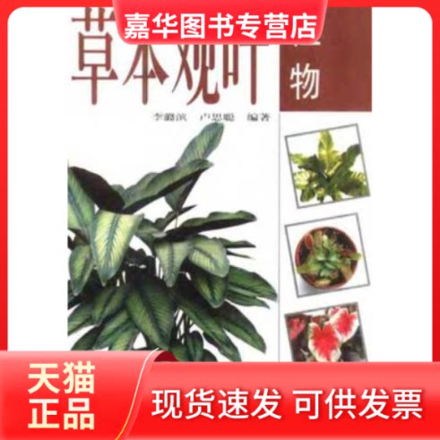 【正版现货】 室内名贵花卉丛书--草本观叶植物 李潞滨 辽宁科学技术出版社