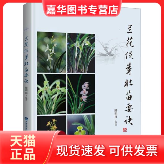 【正版现货】 兰花促芽壮苗要诀 陆明祥 编 福建科学技术出版社