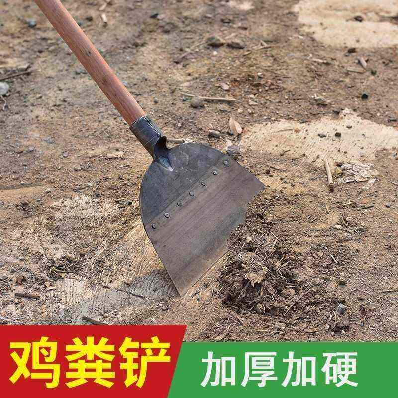 (清理大号鸽舍农用家禽粪板铲养殖业铁铲铲子粪猪圈鸽粪猪屎工具