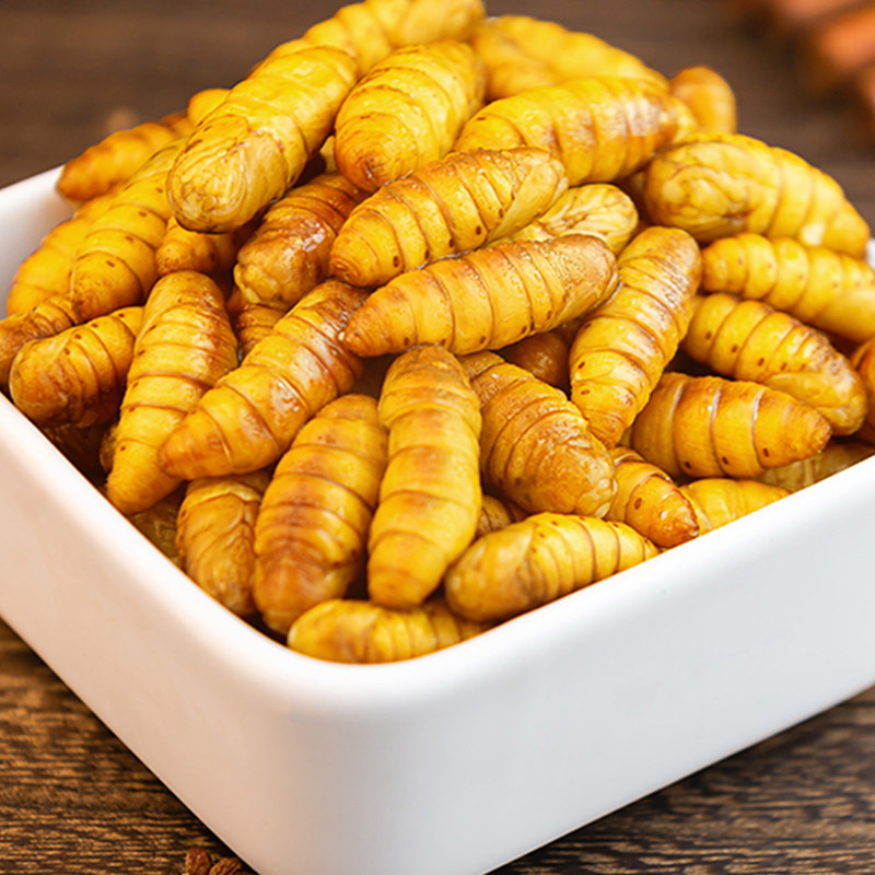蚕蛹鲜活蝉蛹东北幼虫宝宝山东特级金丝小蚕蛹新鲜速冻烧烤茧蛹子