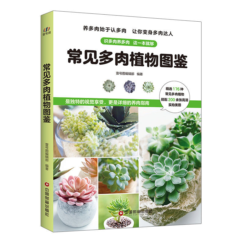 常见多肉植物图鉴 176种千姿百态的多肉植物 秀色可餐的高清美图 教你如何分辨不同品种的多肉植物书籍