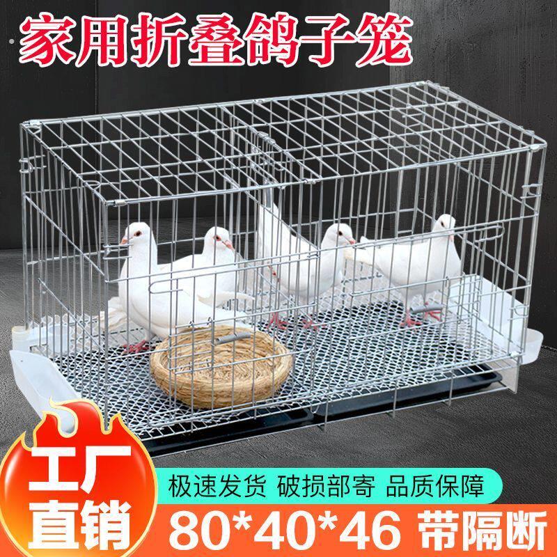 鸽子笼鸟笼子大号鹦鹉笼子芦丁鸡笼网红鹌鹑鸡窝宠物家用豪华别墅