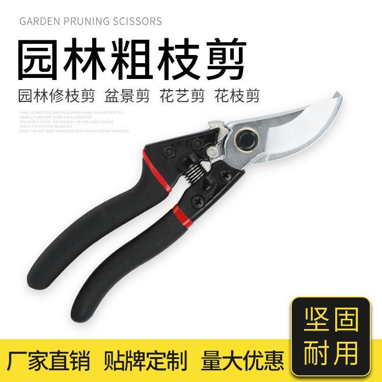 剪枝果树修枝剪刀园艺修剪树枝园林省力修花枝剪家用强力剪修枝剪
