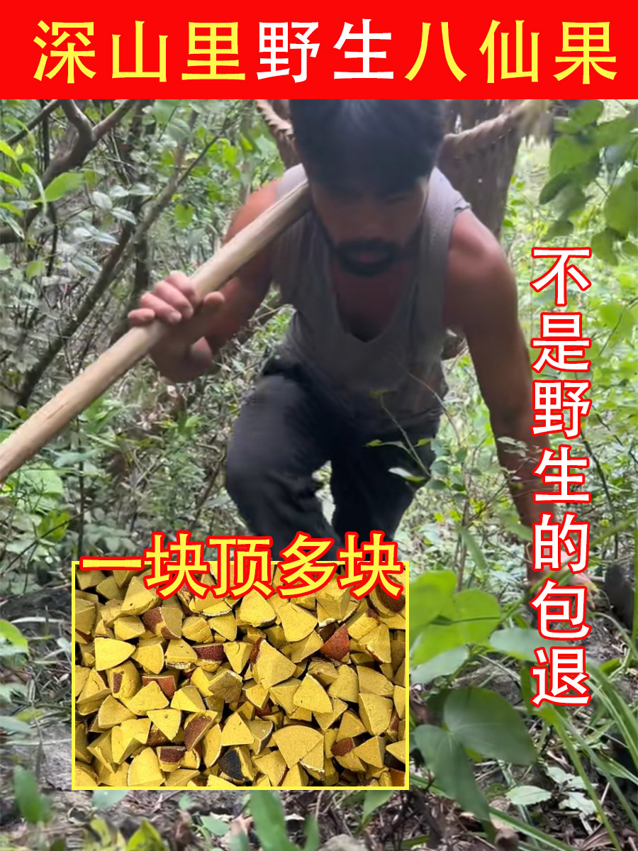 深山纯野生化橘红八仙果500g中药材陈皮化痰去咳官方柚子参化桔红