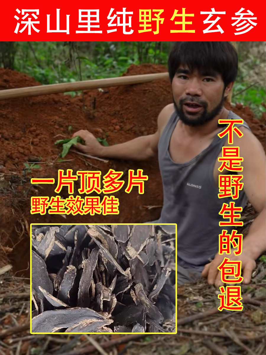 老周挖的深山纯野生玄参500g中药材麦冬茶片饮正品生地桔梗元参片