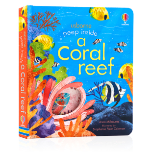 英文原版 Reef幼儿启蒙认知机关游戏书边玩边学尤斯伯恩 珊瑚礁 Coral Usborne偷偷看里面系列 绘本Peep 纸板翻翻书洞洞书 Inside