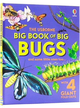 大型昆虫书 英文原版 Big Book of Big Bugs 儿童科普绘本 超大折叠页 探索世界最大昆虫 激发孩子探索 精装绘本 Emily Bone