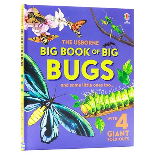 大型昆虫书 英文原版 Big Book of Big Bugs 儿童科普绘本 超大折叠页 探索世界最大昆虫 激发孩子探索 精装绘本 Emily Bone