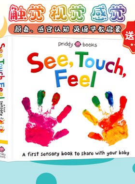 See touch feel 英文原版绘本 Seetouchfeel 触觉视觉感官认知 A First Sensory Book 低幼儿童早教启蒙 亲子互动游戏书含镜子